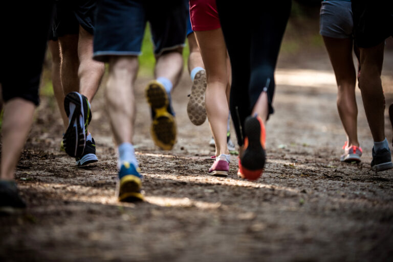 Back view of group of unrecognizable runners racing in the forest.